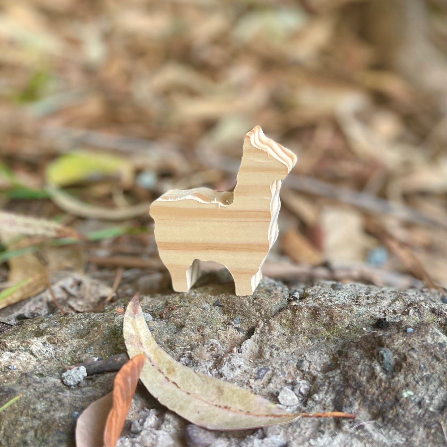 Pack 10 Sorpresas de cumpleaños y/o recuerdos