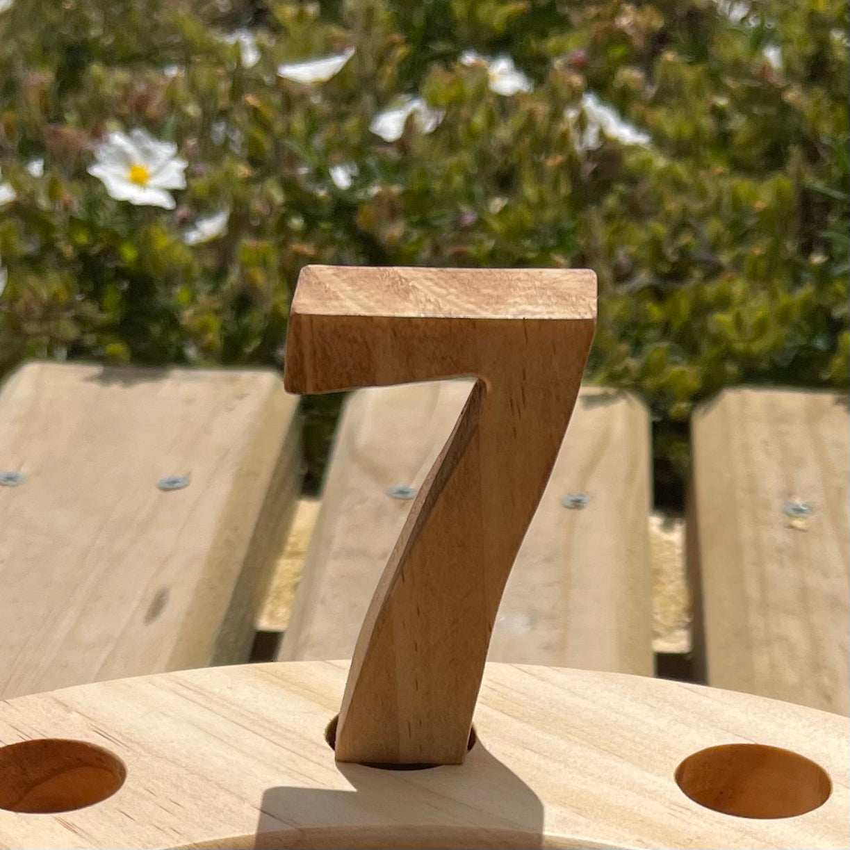 Número de madera Anillo Celebración