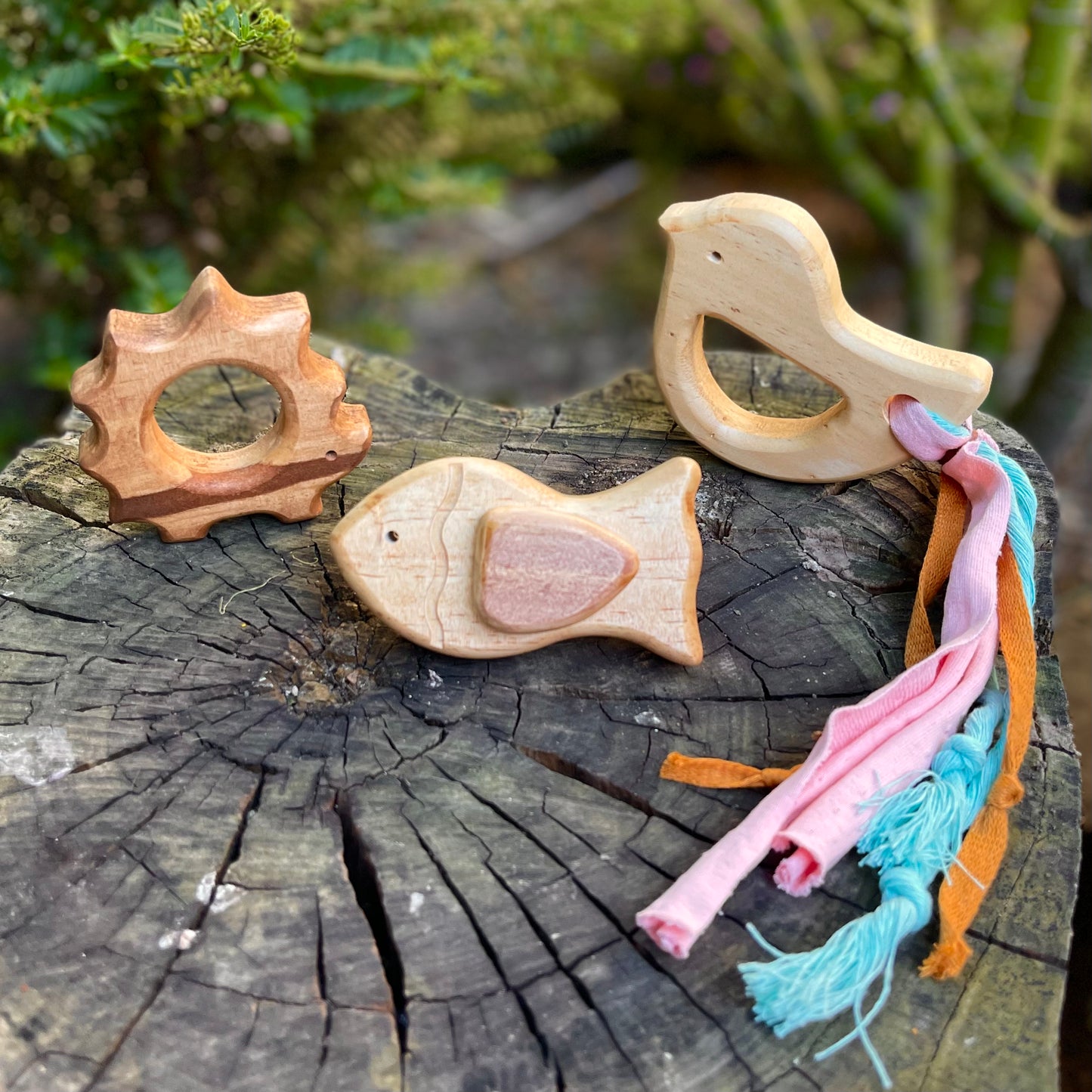 Set animales bebé