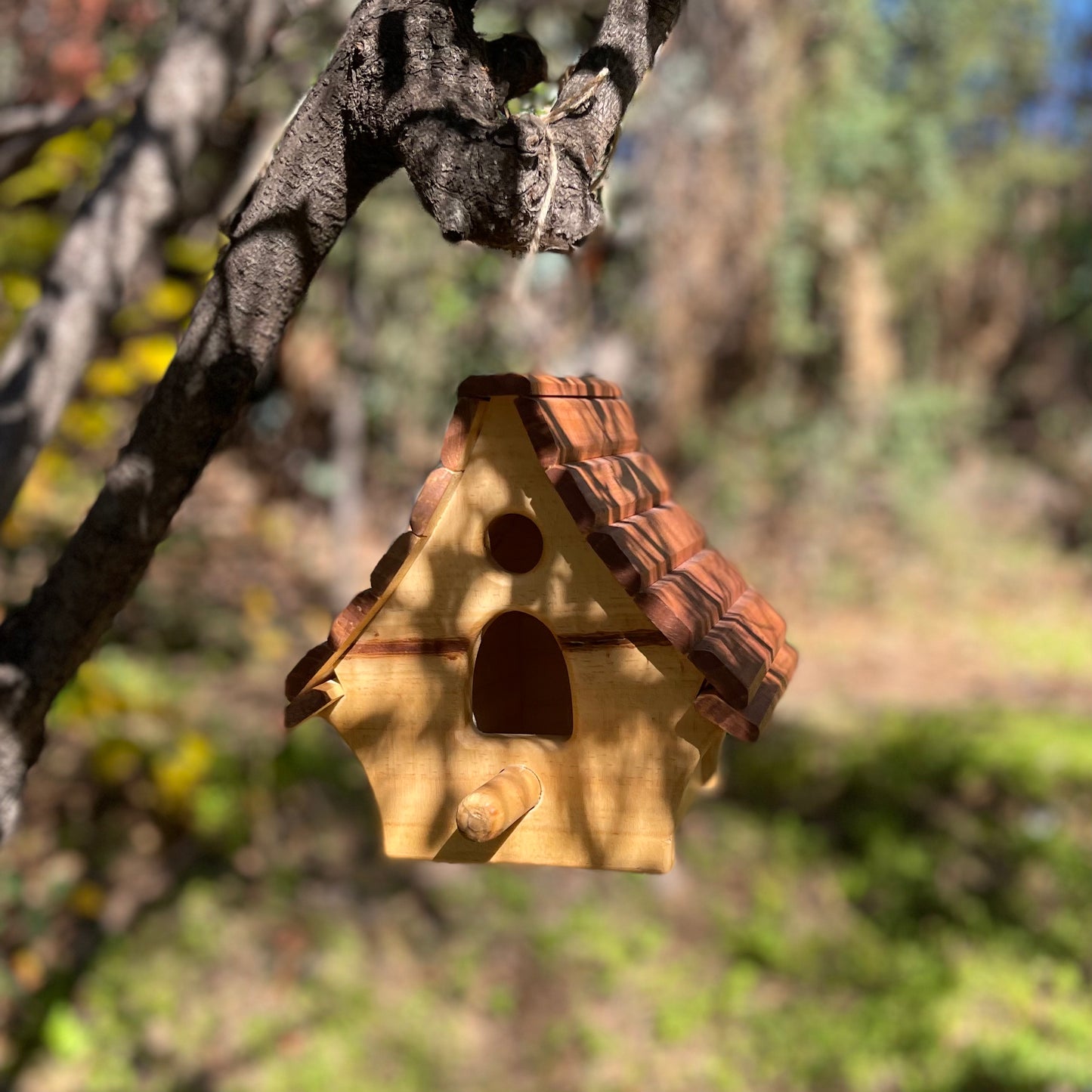 Casa de pájaros
