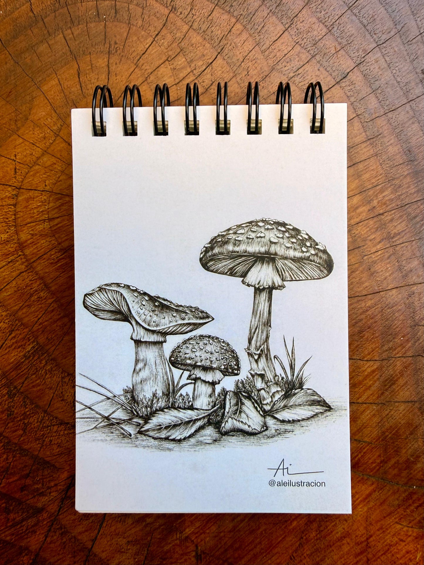 Libretas ilustradas Reino Fungi