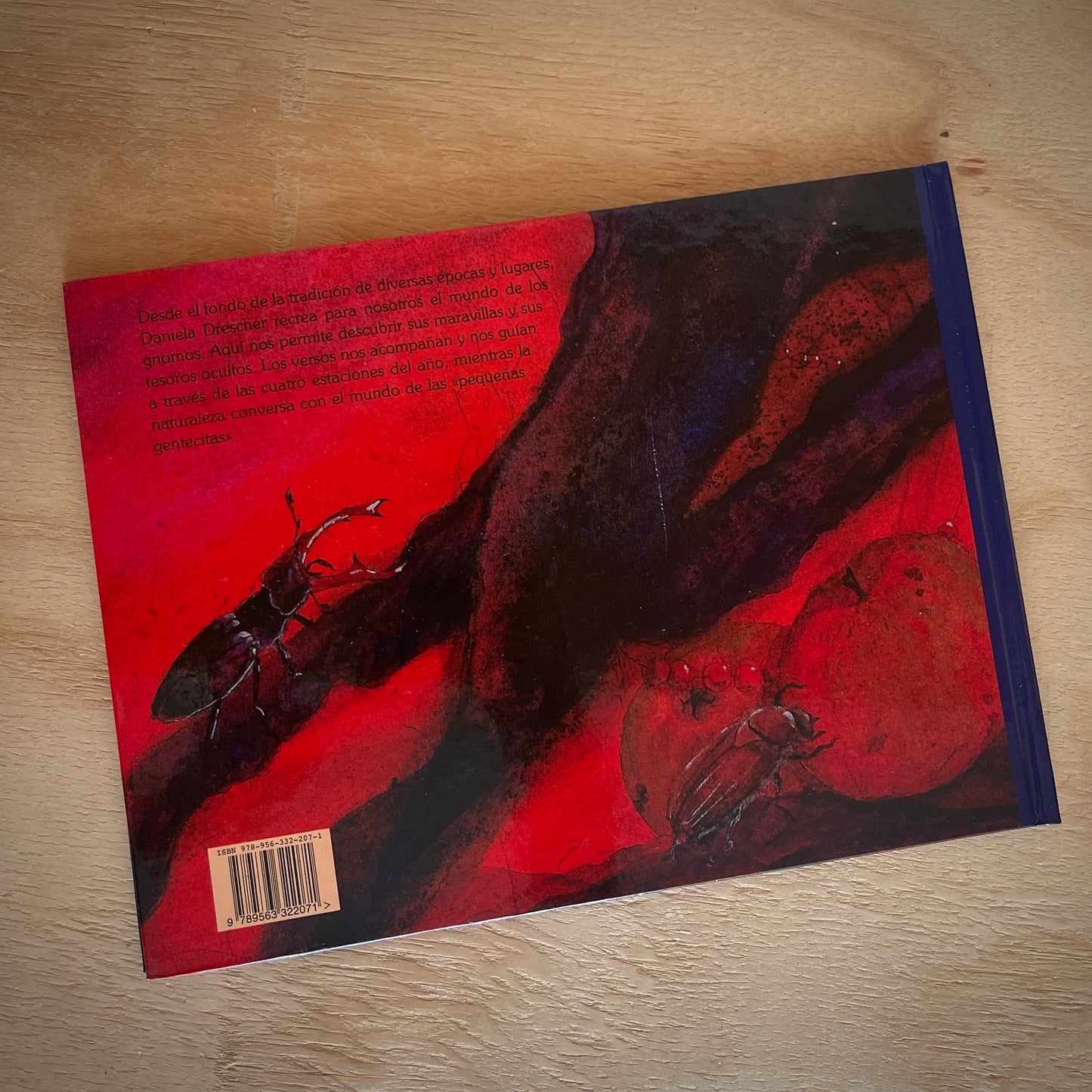 Ven al reino de los gnomos Cuentos