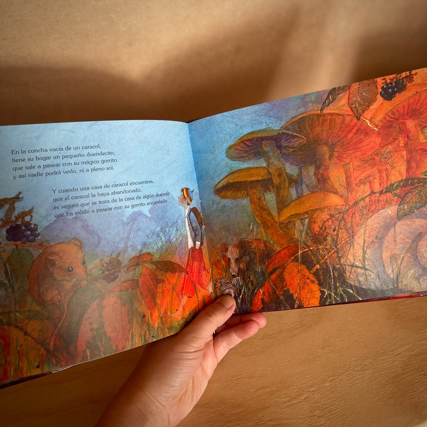 Ven al reino de los gnomos Cuentos