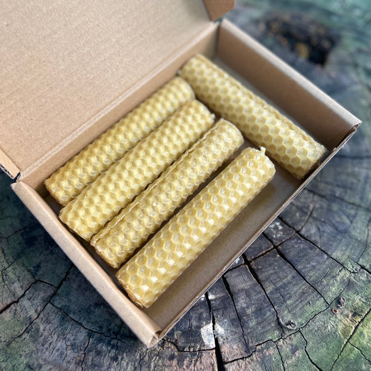 Cajita de velas cera de abeja 100% naturales