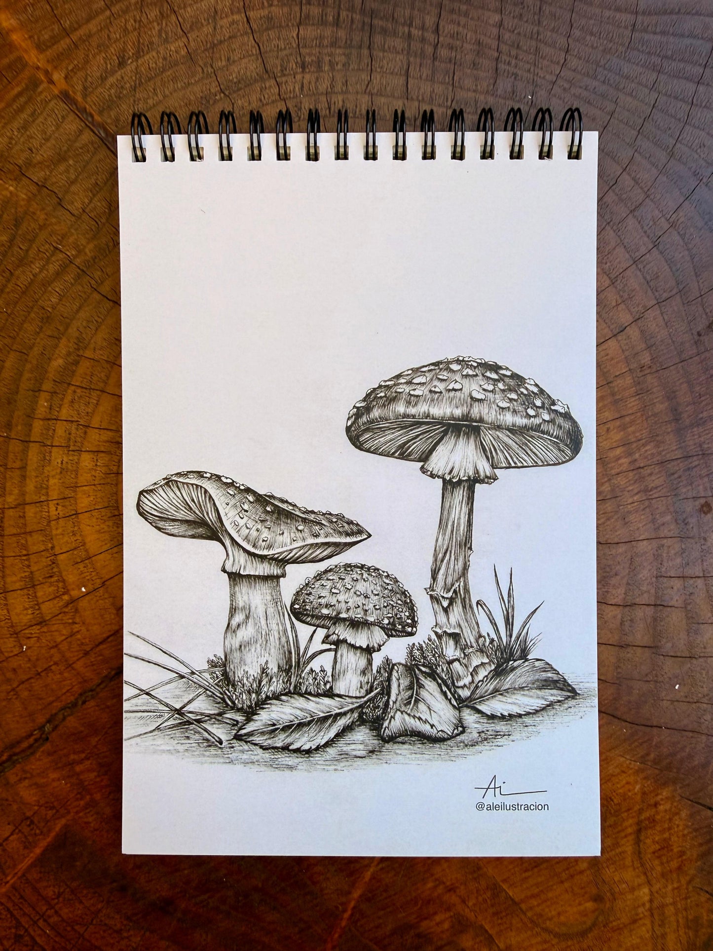 Libretas ilustradas Reino Fungi