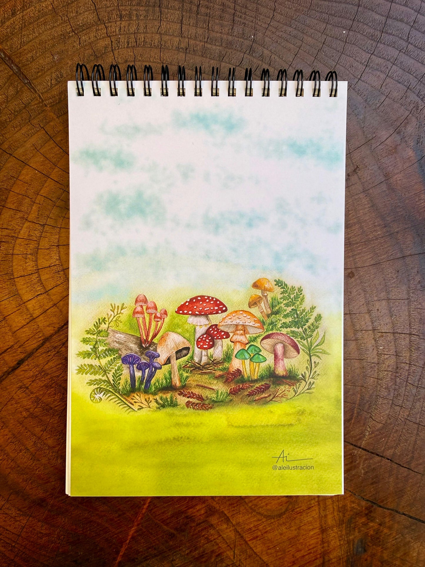 Libretas ilustradas Reino Fungi