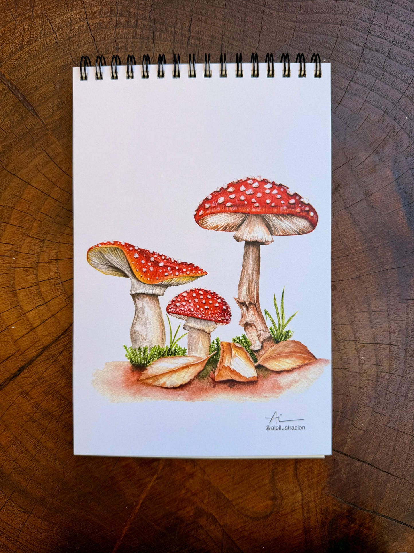 Libretas ilustradas Reino Fungi