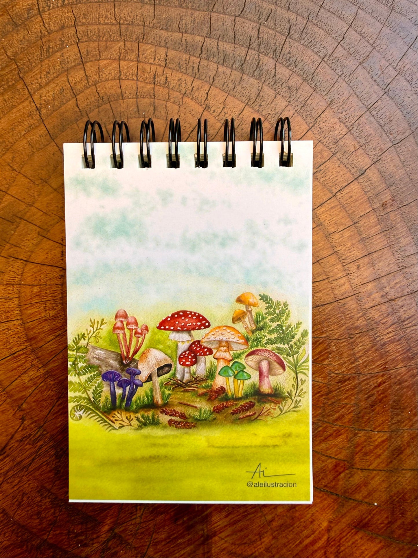 Libretas ilustradas Reino Fungi