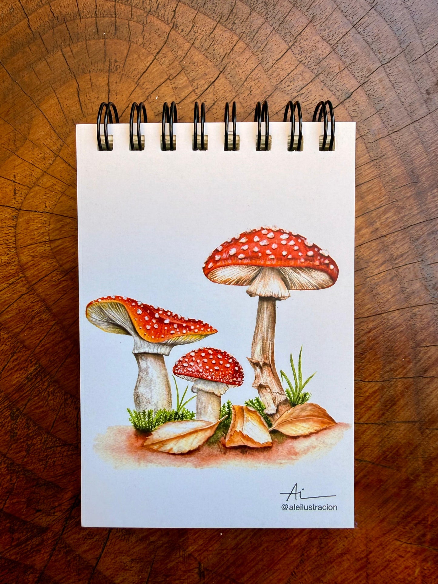 Libretas ilustradas Reino Fungi