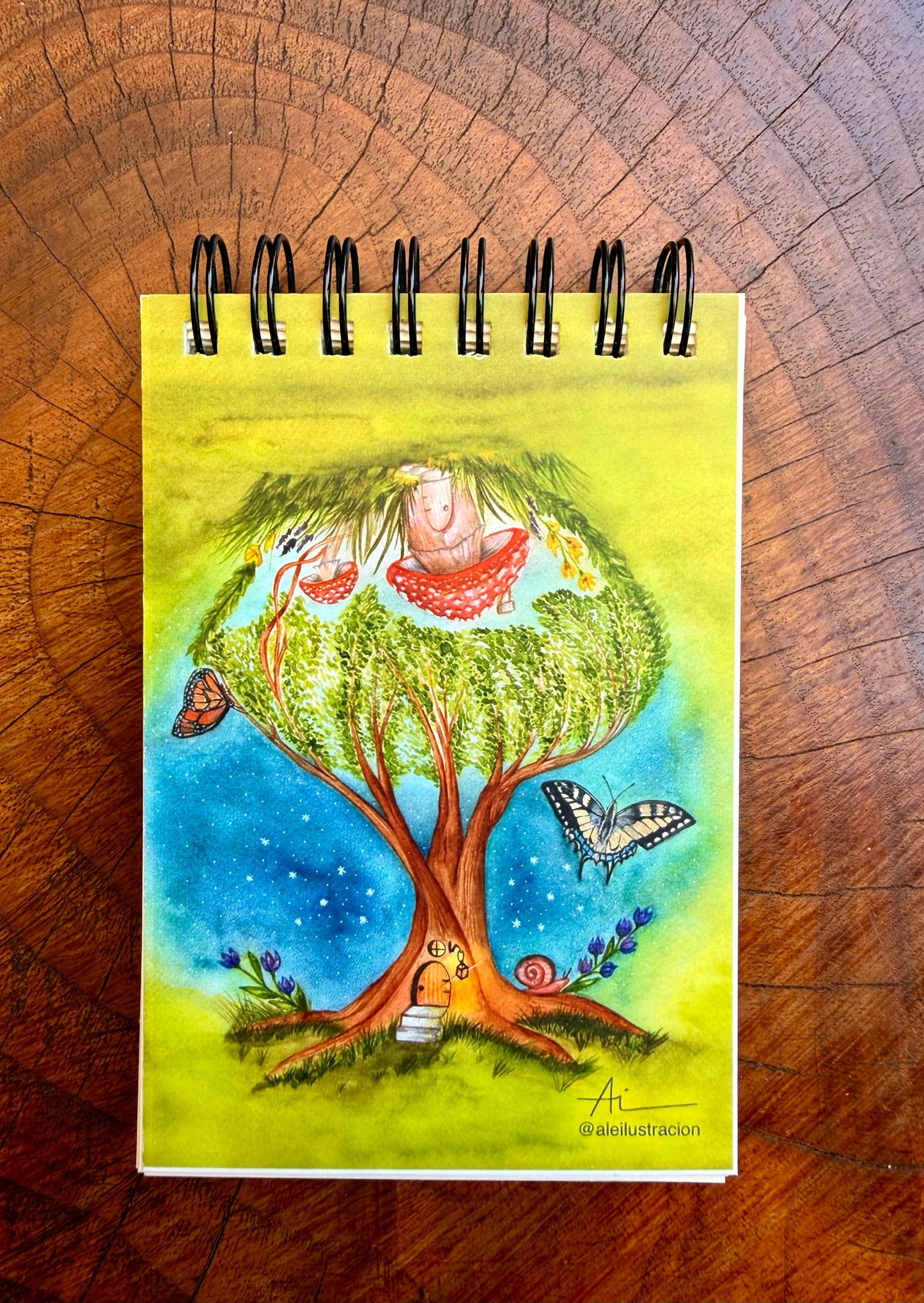 Libretas ilustradas Reino Fungi