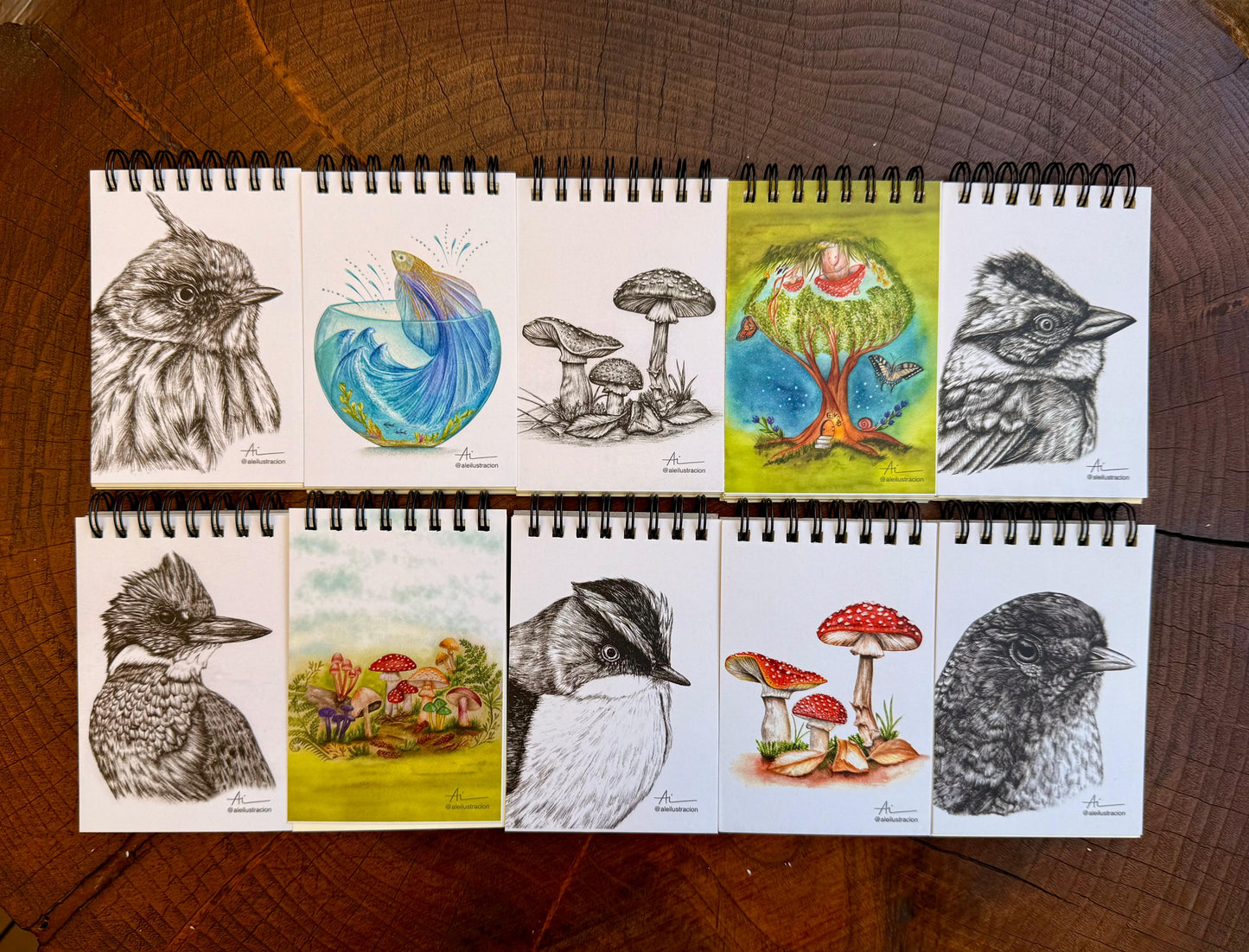 Libretas ilustradas Reino Fungi